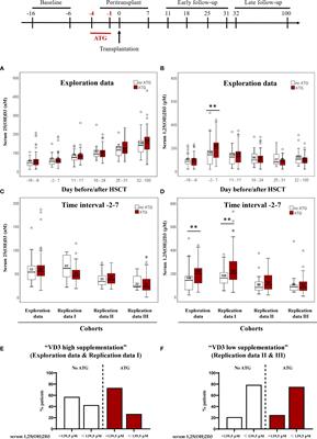 Anti-Thymocyte Globulin Treatment Augments 1,25-Dihydroxyvitamin D3 Serum Levels in Patients Undergoing Hematopoietic Stem Cell Transplantation